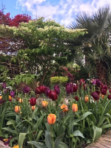 Whitstable Joy Lane Gardens